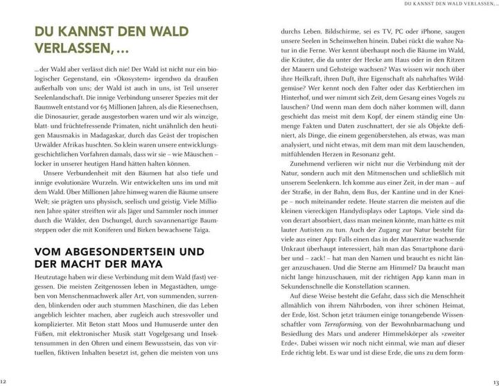 Produktbild Wir sind Geschöpfe des Waldes (Deutsch, Wolf-Dieter Storl, 2019)