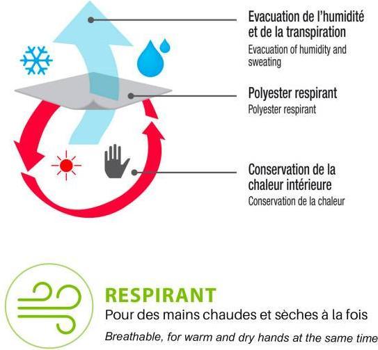 Image du produit Wantalis Heated under gloves black (S)