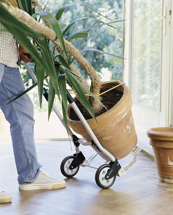 Image du produit wolfcraft Système de transport TS 600 (70 kg)