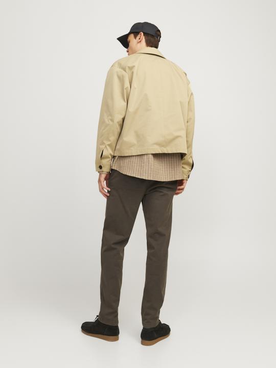 Actual product image Jack & Jones JPSTACE JJHARLOW CHINO NOOS Chino trousers (W29/L32)