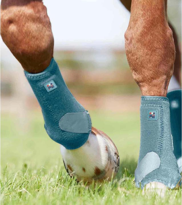 Image du produit Premier Equine guêtres pour cheval preier equine air-tech sports edecine
