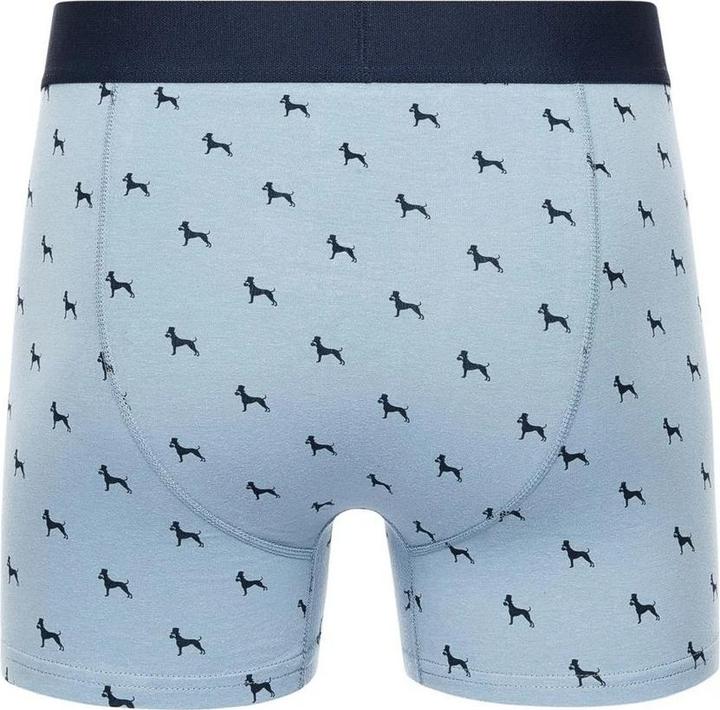 Actual product image Bewley & Ritch Mens Mirador Boxer Shorts (Pack of 5) (L, 5-pack)