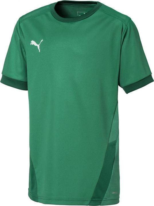 Actual product image Puma teamGOAL 23 Jersey jr-704160 (140)