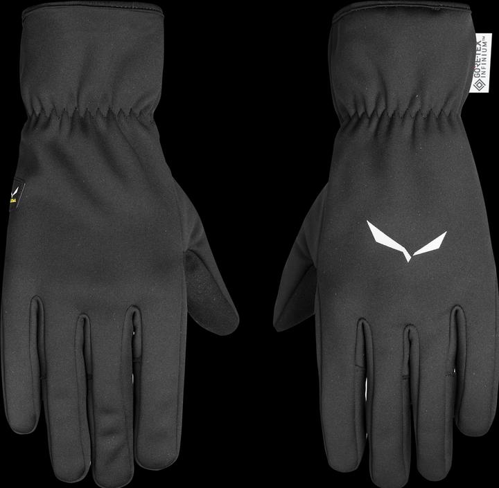Actual product image Salewa Ladies WS Gloves (S)