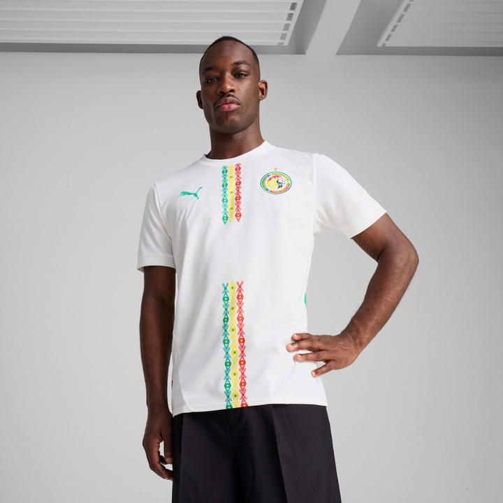 Actual product image Puma FSF Home Jersey Replica (M)
