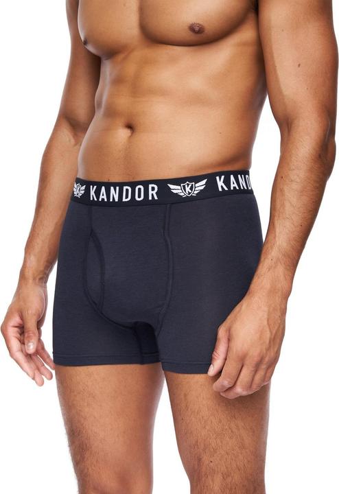 Actual product image Kandor Mens Quinfly Boxer Shorts (Pack of 5) (L, 5-pack)
