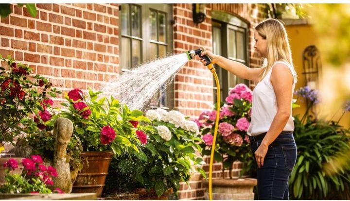 Produktbild Bosch Home & Garden GardenPump 18 (Gartenpumpe)