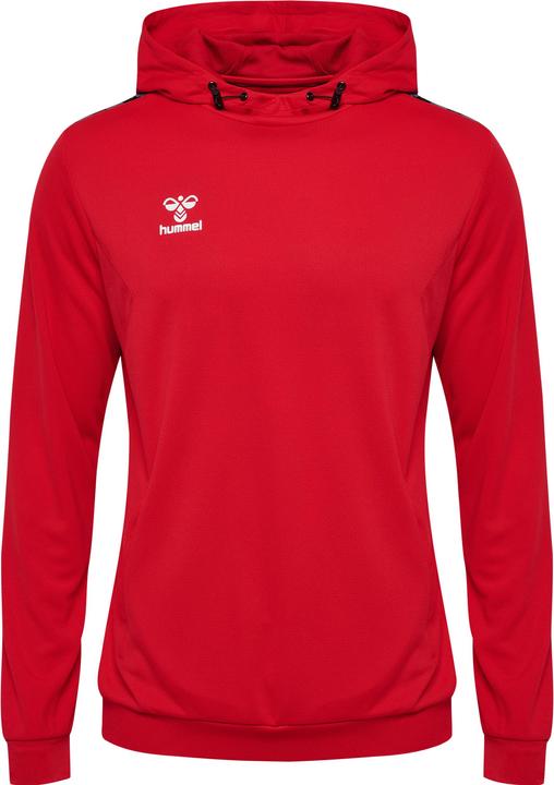 Actual product image hummel Hmlauthentic Pl Hoodie (M)