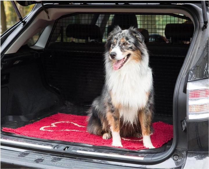 Actual product image Dog Gone Smart Dirty Dog Doormat dirt mat (Dog)