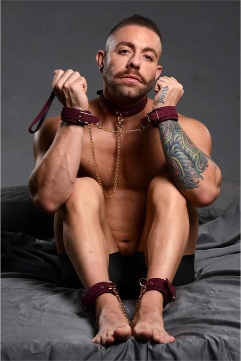 Produktbild Master Series BDSM Fessel Set