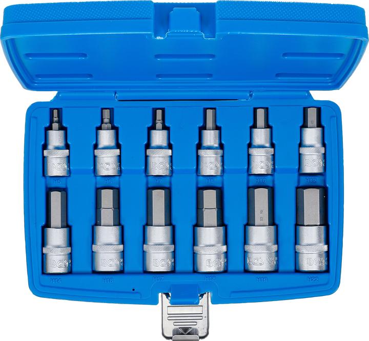 Actual product image BGS Bit insert set (Hexagon socket M5, Hexagon socket M6, Hexagon socket M8, Hexagon socket M10, Hexagon socket M12, Hexagon socket M7, Hexagon socket M14, Hexagon socket M16, Hexagon socket M17, Hexagon socket M18, Hexagon socket M19, Hexagon socket M22)