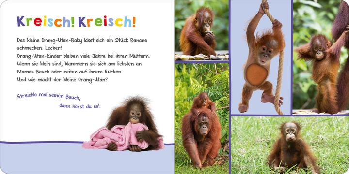 Produktbild Hör mal rein, wer kann das sein? - Tierbabys (Deutsch)