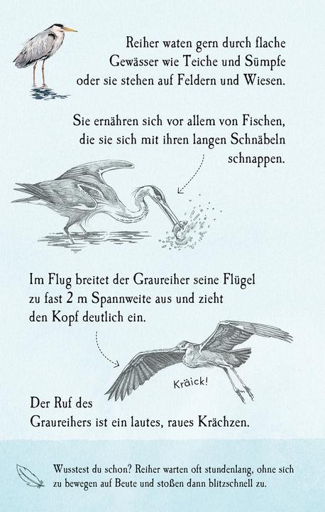 Produktbild Natur-Entdecker-Karten: Unsere heimisch