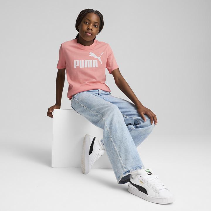 Actual product image Puma ESS No. 1 Logo Tee G (164)