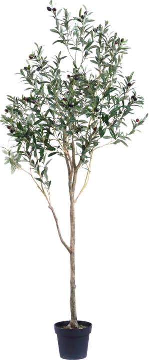 Produktbild Greendeco Künstlicher Olivenbaum 180 cm