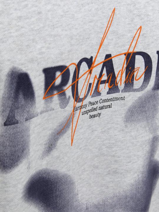 Produktbild Jack & Jones Jjecharge Graphic Sweat O-N Styd Aw24 Ln (XXL)