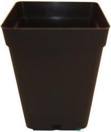 Image du produit Tamar Pot carré 0.5L (9 cm)