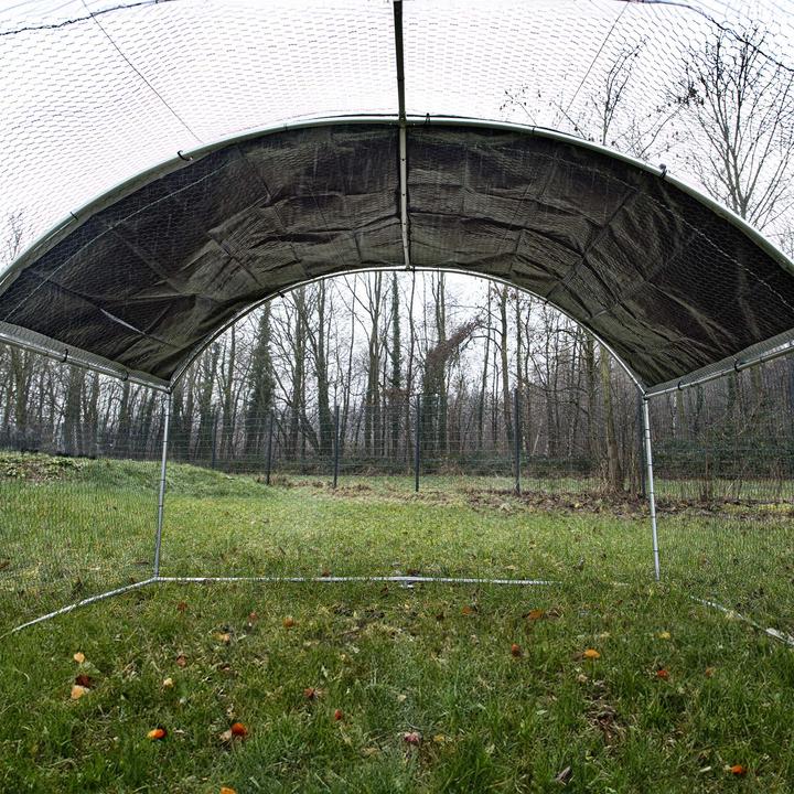 Produktbild Wiltec Fudajo XXL Freilaufgehege 4x2,95x2m Aussengehege Voliere Hühnerstall Tiergehege