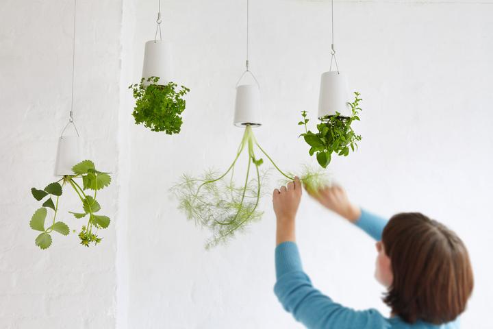 Produktbild boskke Sky Planter Small
