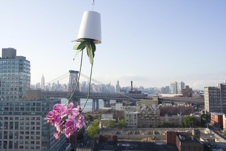 Image du produit boskke Sky Planter Small (9.50 cm)