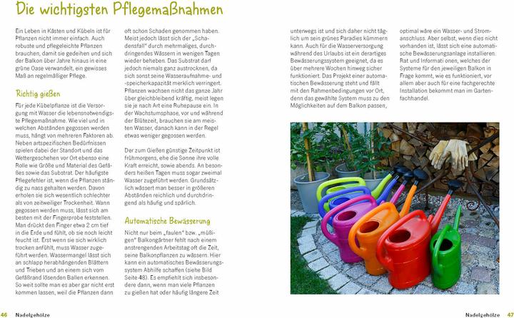 Image du produit Der immergrüne Balkon. Ganzjährig gestalten mit winterharten Pflanzen (Allemand, Ursula Kopp, 2024)