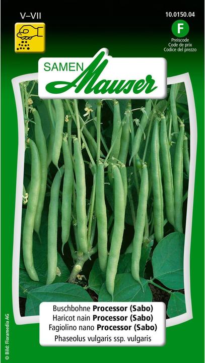 Samen Mauser Sabo, trasformatore di fagioli Bush (Semi di verdura)
