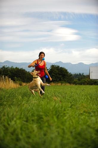 Produktbild Chuckit! CHUCK IT! The whistler dog ball M - Hundeball - 2 Stück(e) (Kauspielzeug Hund)