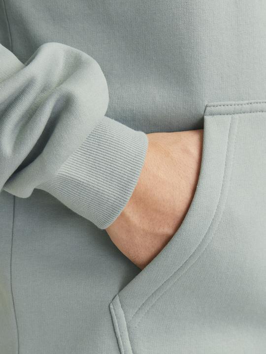 Produktbild Jack & Jones Jjebradley Sweat Hood Noos (XS)