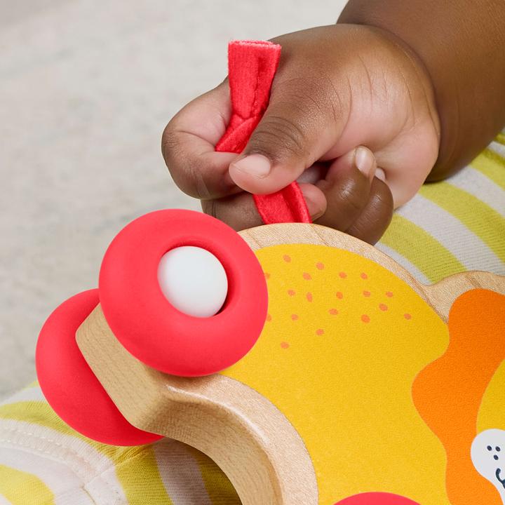 Produktbild Fisher-Price JFN19
