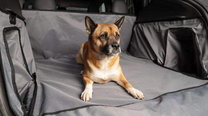 Produktbild Guardsman Kofferraumschutz für Hunde, Alltag und Ladung für das Tesla Model Y (Hund, Atmungsaktiv, Waschmaschinenfest)