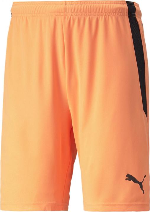 Actual product image Puma teamLIGA shorts (XXL)