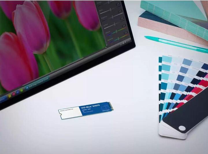 Actual product image SanDisk BLUE SN570 NVME SSD 1TB (1000 GB, M.2 2280)