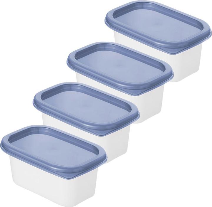 Produktbild Rotho Gefrierdosen Domino (0.20 l)