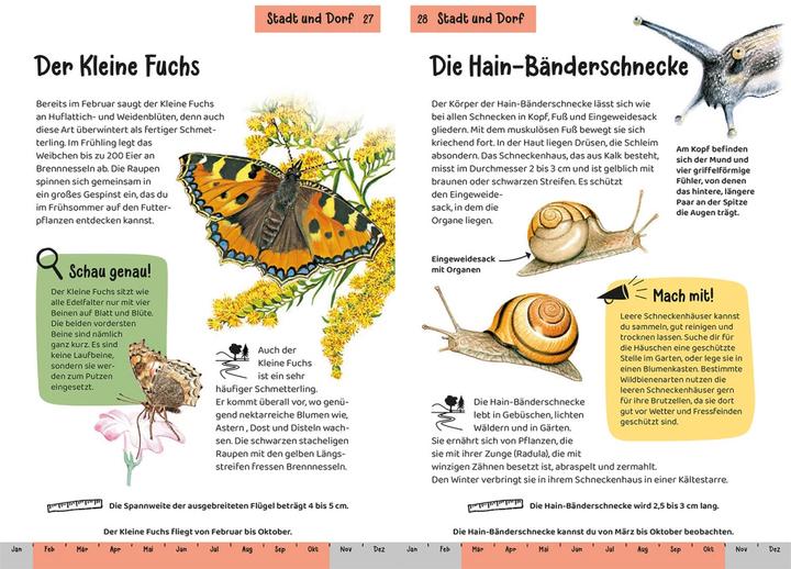 Produktbild Kosmos Tier- und Pflanzenführer. Kindernaturführer