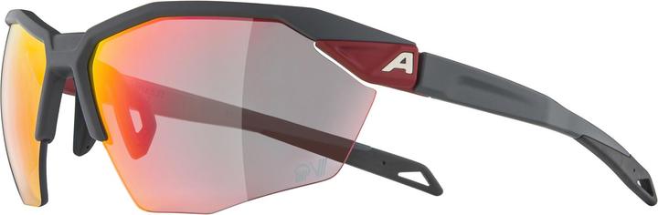 Immagine prodotto ALPINA SPORTS Twist Six HR QV (Grigio notte opaco, Rainbow)