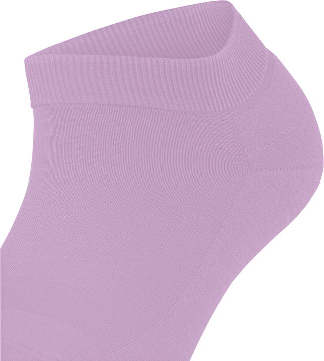 Actual product image Falke ClimaWool Women (39 - 40)