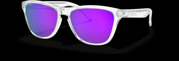 Actual product image Oakley Frogskins XS
