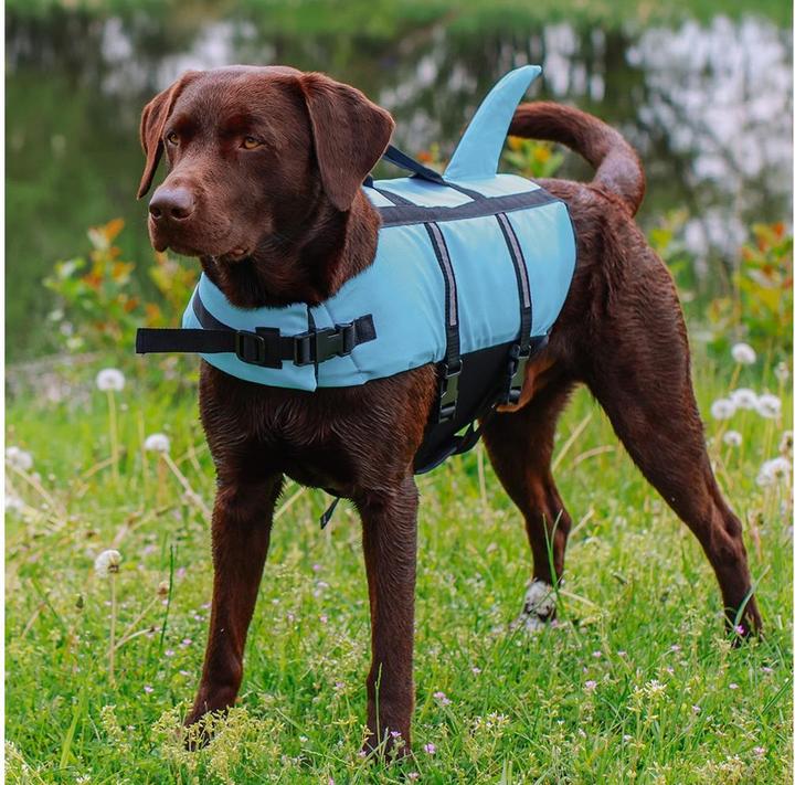 Produktbild Nobby Sharki (XL, Hundeschwimmweste)