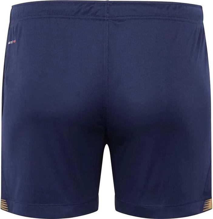 Actual product image Warrior Shorts Aurum Tech (L)