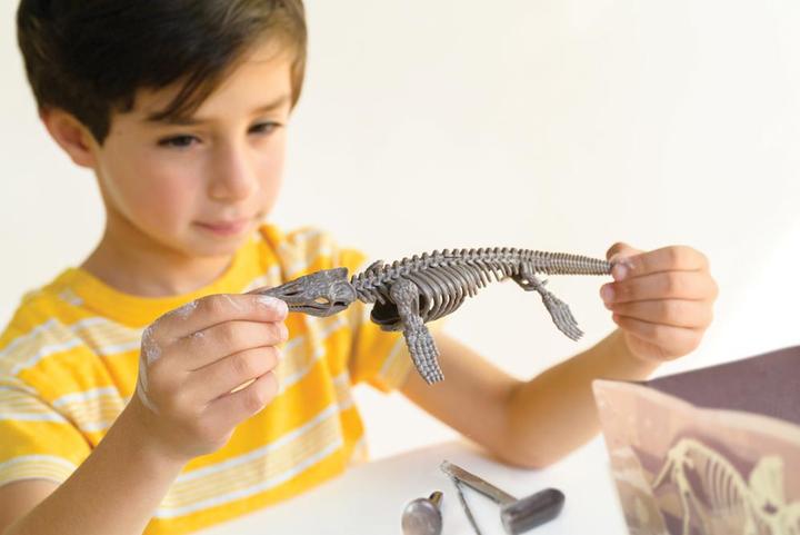 Actual product image 4M Excavation Set Mosasaurus