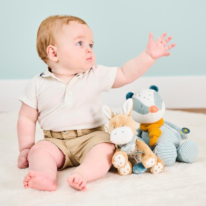 Actual product image Nattou Felix and Leo little Leo the donkey