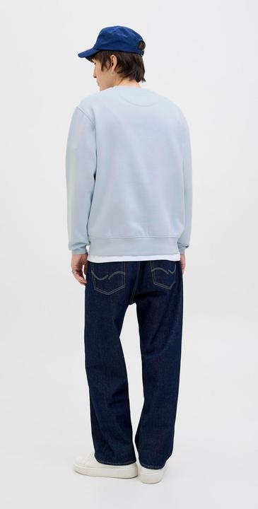 Actual product image Jack & Jones Jorvesterbro Sweat Crew Neck Noos (XS)