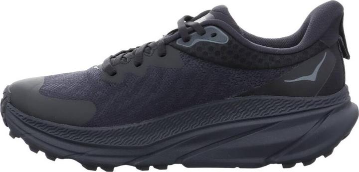 Actual product image Hoka Challenger ATR 7 GTX (42)