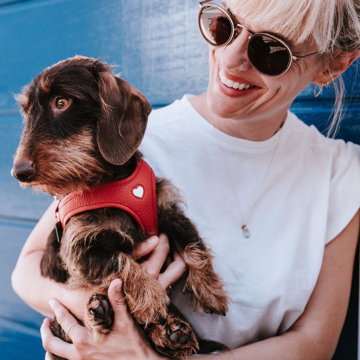 Actual product image Hunter Harness Love 37-40/XS-S, red/black, dog size: S, XS (Dog, Walks)