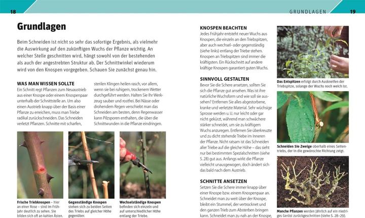 Produktbild Gartenwissen Pflanzenschnitt (Deutsch, Andrew Mikolajski, 2021)
