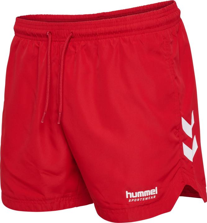 Produktbild hummel hmlLGC NED SWIM SHORTS (S)