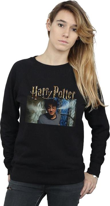 Produktbild Steam Ears Sweatshirt (L)