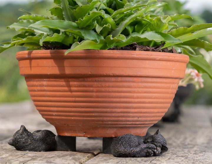 Image du produit Jardinopia Potty Feet Chat qui dort, lot de 3
