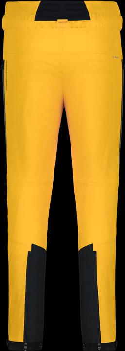 Image du produit Salewa ORTLES PTX 3L PANTS pour hommes (S)