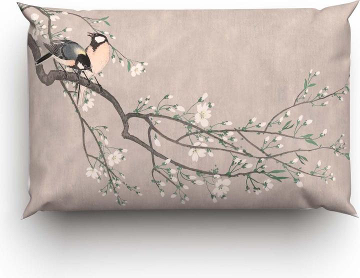 Immagine prodotto Lotus Bettwaren Bettwäsche Bambus Birds spring (Copricuscino, 65 x 100 cm)